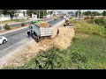 Nicely Project !! Filling Land By Skills KOMATSU D31p Dozer Pushing Dirt & 5Ton Truck Unloading