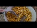 Salted Egg Fresh Corn Kernels- Sweet & Savoury Snacks + Comfort Meal on its own #food #cooking