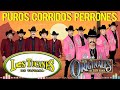 Los Tucanes De Tijuana y Los Originales De San Juan 🔥 Las Mejores Canciones Mix🔥 Puros Corridos 2024