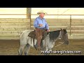 Horse Training For Control - How To Prevent Bucking, Bolting And Violent Spooking