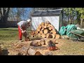 Dolmar 9000- Cutting up some firewood