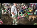 Most Popular Cambodian Local Market & Street Food , Fish , Pork , Snails And More