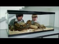 Gushers Library Commercial With Fruit By The Foot Snake Tank Commercial