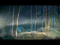 432Hz 》~ Fall Asleep in 5 minutes 》MAGICAL FOREST MUSIC   Relaxing Meditation Music Mix