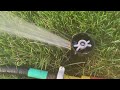 Nelson Snap N Rain Pop Up Sprinkler