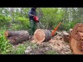 199 Incredible BIGGEST Fastest Chainsaw Machines Cutting Tree At Another Level ▶2