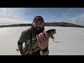 2024 Maine Ice Fishing Highlights