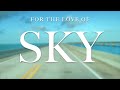 FOR THE LOVE OF SKY - ALBUM 19