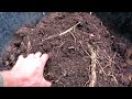 Fall Cold Composting Made Easy with An Amazing Compost Harvest: How to Harvest Garden Black Gold!