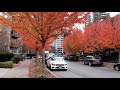 Autumn Leaves | Fall Colours (Piano Instrumentals) | Vancouver BC CANADA | Fall Foliage