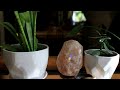 Calming Slow Living | Magical PNW Garden | Homemade Bread | The Beauty of Spring | silent vlog