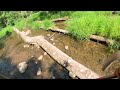 Jordon creek The Conrad W. Raker Biological Field Station and Wildlife Sanctuary, a 40-acre wooded