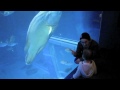 Trip to Osaka Aquarium