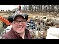 How to retire selling firewood - n. 101 #logsplitter #firewood #chainsaw