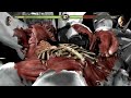 Mortal Kombat 9 - SCORPION MK11 MOD - Expert Arcade Ladder - Gameplay @ (1080p) - 60ᶠᵖˢ ✔