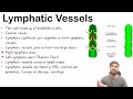 Lymphatic system Anatomy and Physiology in Hindi | Composition of Lymph | Lymphatic Vessels