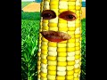 Piece of corn