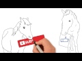 Horse body language: appeasement & displacement behaviours | Animated Series Episode 7