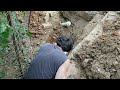 Digging to change the sewer pipe connection p6 - cleaning #timelapse