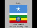 Ethiopian sped up songs-Yeshi Tadesse-Anigo