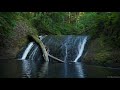 Silver Falls State Park Oregon 4k 🇺🇸