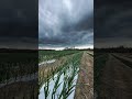 Tal vez llueva 🌧️? #rain #lluvia #nubes #clouds #nature #mothernature #naturelovers #naturaleza