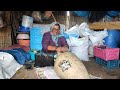 making goat Tulum cheese in heart of sablan mountains,iranian nomadic life