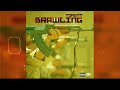 Toastt - Brawling (Official Audio Visualizer) Bragga Phelps