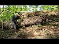 Bushcraft Camp - Crafting Complete and Comfort Survival Shelter with Mud Fireplace - Solo Camping