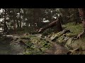 Forest Cinematic (Unreal Engine 4)