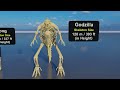 Animal, Dinosaur, and Sea Monster Skeletons 3D Size Comparison: Godzilla Vs Kong