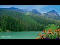 🎹[1hour] 솔밭사이로 강물은 흐르고 - 조안 바에즈 / The River In The Pines - Joan Baez / 가사,Lyrics / 피아노 편곡 버전 / Piano