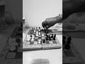 Who won this chess game?