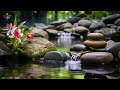 Relaxing music Relieves stress - Anxiety and Depression - Heals the Mind, Deep Sleep