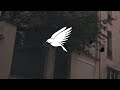 Ed Sheeran - Spring (Fan Created Music Video) [France]