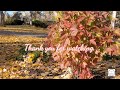 Beautiful Autumn Quotes | Fall Quotes 2021