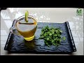 Mint Tea #tea #trending