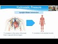 #LetsTalkNMD Webinar: Hydrotherapy for People with Neuromuscular Disorders