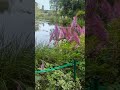 Monet garden institute, Giverny (1)