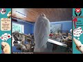 Zen Music for Birds | Keep Your Parrot Calm | Parrot TV