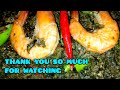 NO MORE ITCH LAING RECIPE | HOW TO COOK DELICIOUS TARO LEAVES WITH PRAWNS | @leonysrecipes