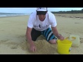 How To Catch Beach Worms