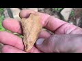 Arrowhead hunting Western North Carolina #33~ Archaic Chert Palmer 8/30/20