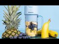✅Best Portable Blenders 2024 -✅ Don't Buy Before Watching This
