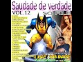 Dj Gps Saudade - A Saudade De Verdade Vol: 12
