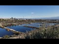 Cucamonga Creek after the rain.