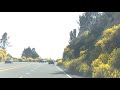 Road to Big Bear 🐻, California