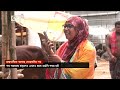 সরবরাহ বাড়লেও জমেনি পশুর হাট | Cow haat | Qurbani Haat | Ekattor TV