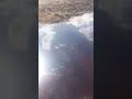 deadly fishing vlog