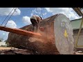 Wood Cutting Skills // 4000 Year Old Tree In Amazon Forest